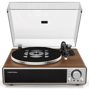 Qlearsoul ONE-Q Bluetooth Vinyl Record Player