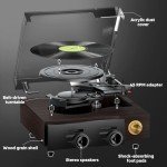 FYDEE Bluetooth Vinyl Record Player with Speakers