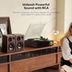 FYDEE Bluetooth Vinyl Record Player with Speakers