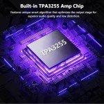 Jancane 300W Bluetooth 5.4 Mini Amplifier