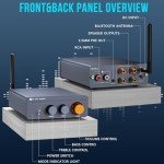Jancane 300W Bluetooth 5.4 Mini Amplifier