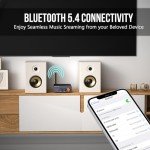 Jancane 300W Bluetooth 5.4 Mini Amplifier