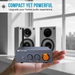 Jancane 300W Bluetooth 5.4 Mini Amplifier