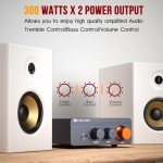 Jancane 300W Bluetooth 5.4 Mini Amplifier