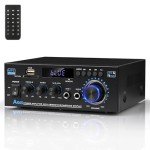 Powerful Bluetooth HiFi Amplifier with FM Radio