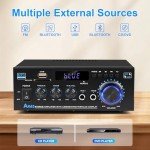 Powerful Bluetooth HiFi Amplifier with FM Radio