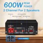 Powerful Bluetooth HiFi Amplifier with FM Radio