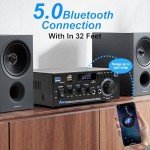 Powerful Bluetooth HiFi Amplifier with FM Radio