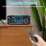 Powerful Bluetooth HiFi Amplifier with FM Radio