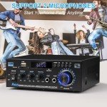 Powerful Bluetooth HiFi Amplifier with FM Radio