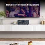 AK45 Bluetooth Stereo Receiver & Amplifier for Home