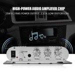 Mini 2.1 Hi-Fi Stereo Amplifier for Home & Car
