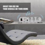 Mini 2.1 Hi-Fi Stereo Amplifier for Home & Car