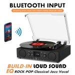 VinylsLink Record Player with Built-in Speakers