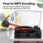 VinylsLink Record Player with Built-in Speakers