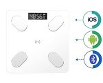 Smart Digital Bathroom Scale with Body Fat Monitor