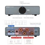AIYIMA A07 MAX 2-Channel Mini Stereo Amplifier