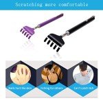 2-Pack Telescoping Back Scratcher Set (Black + Purple)