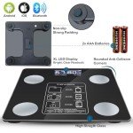 Bluetooth Smart Body Fat Scale with App Display