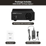 AIYIMA A07 TPA3255 Mini HiFi Amplifier 300Wx2