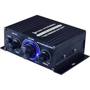 Ragyzity AK170 Dual Channel Power Amplifier System