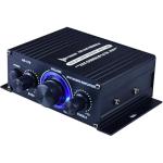 Ragyzity AK170 Dual Channel Power Amplifier System