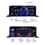 Ragyzity AK170 Dual Channel Power Amplifier System