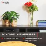 Audizio AD220B Compact HiFi Stereo Amplifier
