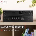 Audizio AD220B Compact HiFi Stereo Amplifier