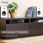 Audizio AD220B Compact HiFi Stereo Amplifier
