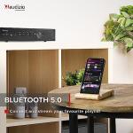 Audizio AD220B Compact HiFi Stereo Amplifier