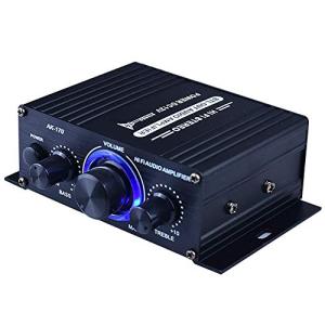 POHOVE HiFi Dual Channel Audio Power Amplifier