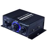 POHOVE HiFi Dual Channel Audio Power Amplifier