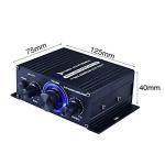 POHOVE HiFi Dual Channel Audio Power Amplifier