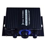 POHOVE HiFi Dual Channel Audio Power Amplifier