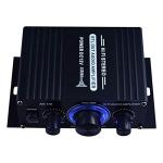 POHOVE HiFi Dual Channel Audio Power Amplifier