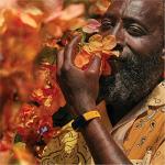 Fitbit Inspire 3 Activity Tracker: Premium Package