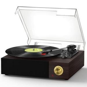 FYDEE Bluetooth Vinyl Record Player with Speakers