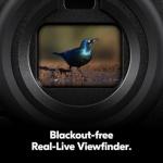 Nikon Z9 Mirrorless Camera Body