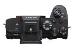Sony Alpha 7S III Mirrorless Camera