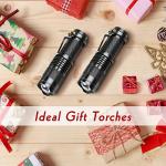 2-Pack Mini LED Torches, 300 Lumens Bright