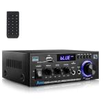 Powerful Bluetooth HiFi Amplifier with FM Radio