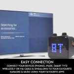 Portable Karaoke Machine with Wireless Microphones & Lights