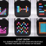 Portable Karaoke Machine with Wireless Microphones & Lights