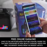Portable Karaoke Machine with Wireless Microphones & Lights