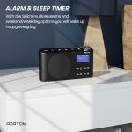 Portable Digital Radio with Bluetooth and Dual Alarm