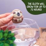 Boxer Gifts Sloth Toy - Grow with Water!