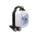 RockJam Bluetooth Karaoke Machine with Microphones & LED Lights