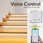 Smart Wall Timer Switch - WiFi - Alexa & Google Assistant Compatible