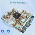 1Mii Bluetooth 5.1 Music Receiver - Hi-Res Stereo